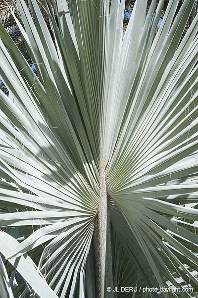 Marrakech